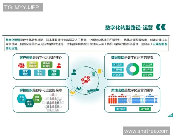 以数据驱动创新探索数字化转型的未来路径与行业应用趋势