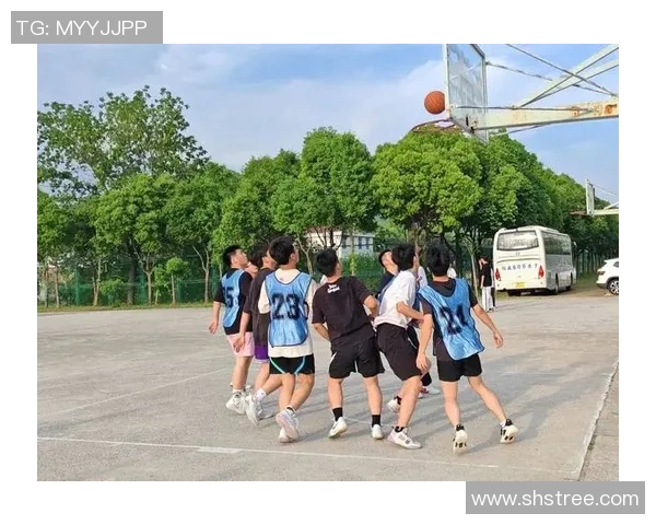 篮球路上的坚持与梦想刘磊分享他的篮球生涯与成长故事